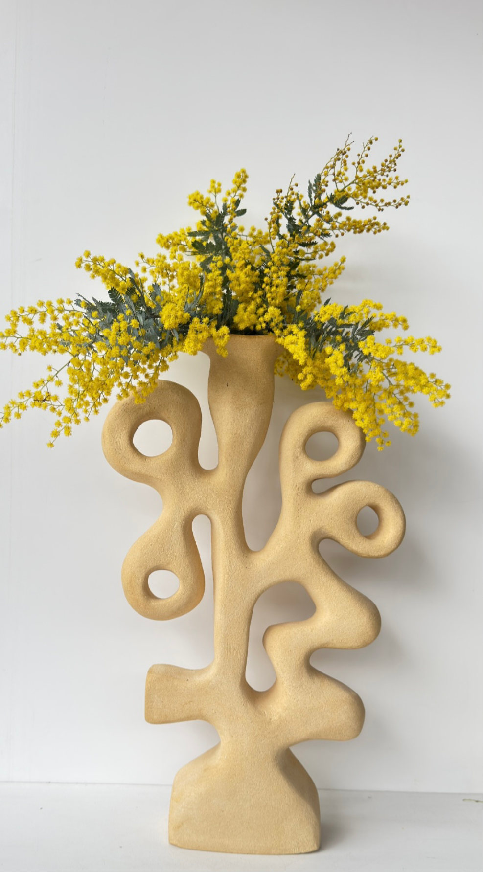 Coral Bloom