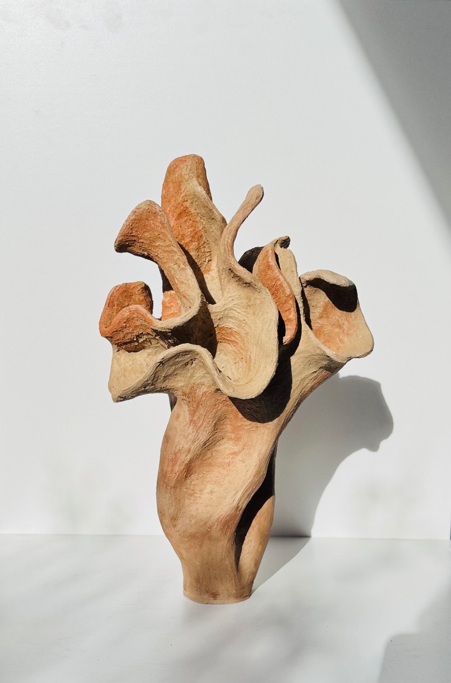 Desert Rose
