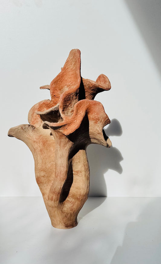 Desert Rose
