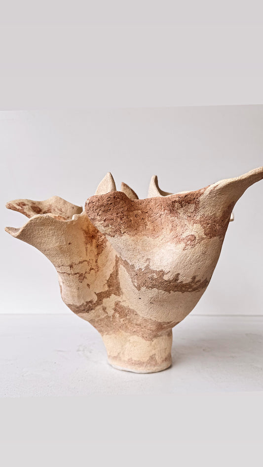Desert wave vessel￼