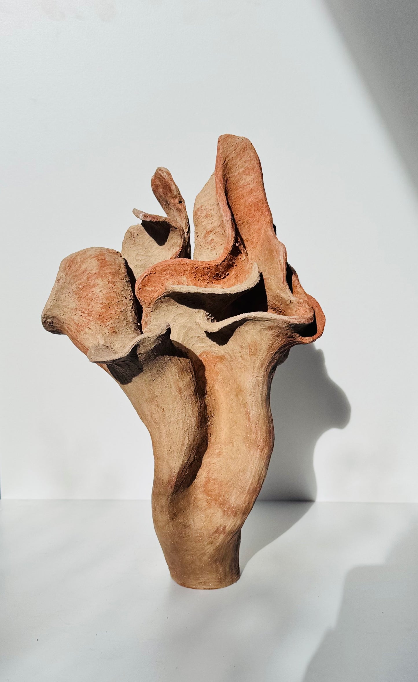 Desert Rose